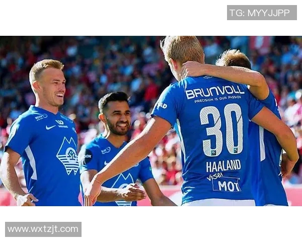 谢夫与汉坎的巅峰对决谁将成为新一代拳击传奇